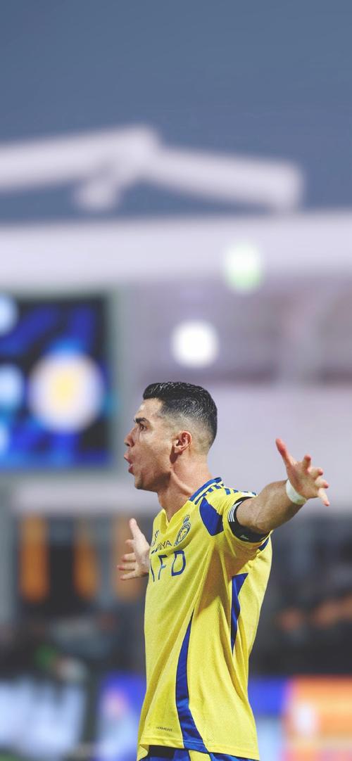 F1实时积分榜：诺里斯领先皮亚斯特里22分，领先维斯塔潘25分（F1最新积分：诺里斯以22分优势压过皮亚斯特里，对维斯塔潘领先25分）